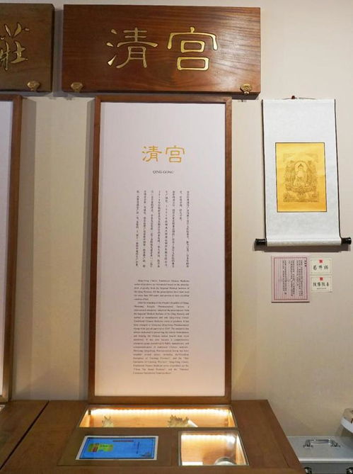 傳統中醫藥綻放新光彩 好醫生清宮藥業紅藥片榮登央視